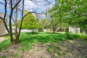 View of yard with a storage shed, an outdoor structure, and fence