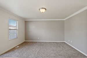 Unfurnished room with crown molding, carpet, and baseboards