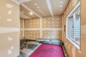 Partially finished basement room