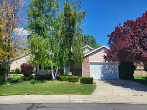 View of property hidden behind natural elements featuring a garage, concrete driveway, a front lawn, brick siding, and stucco siding