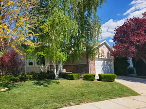 View of property hidden behind natural elements featuring brick siding, driveway, an attached garage, a front yard, and stucco siding