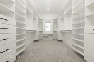 Walk in closet featuring carpet
