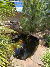 Exterior view of a garden pond