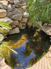 Exterior view of a garden pond