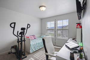 Bedroom with carpet floors, baseboards, and a textured ceiling