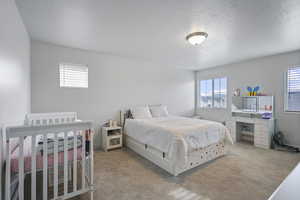 Bedroom with multiple windows, carpet, and a textured ceiling