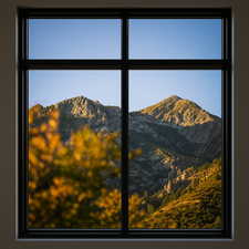 Detailed view of a mountain view