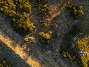 Aerial view of property's location