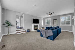 Carpeted living room with beautiful built-in cabinetry