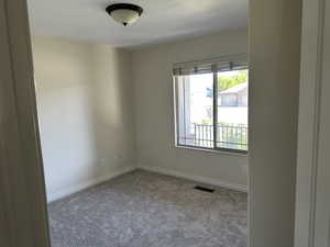 Carpeted spare room featuring healthy amount of natural light and baseboards