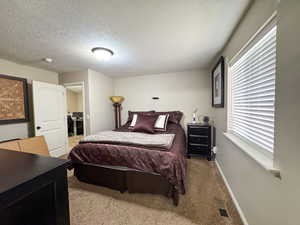 Bedroom featuring a textured ceiling, baseboards, visible vents, and carpet floors