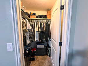 Spacious closet with carpet