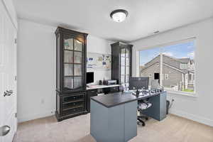 Home office featuring healthy amount of natural light, light colored carpet, and baseboards