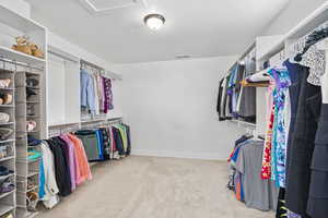 Walk in closet featuring carpet and attic access
