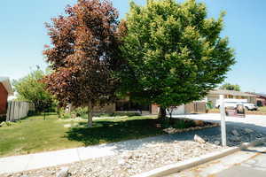 View of property hidden behind natural elements featuring concrete driveway