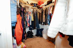 Primary Walk in closet with carpet