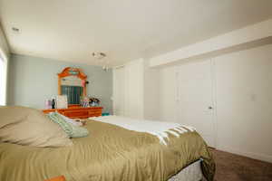 Bedroom with carpet floors