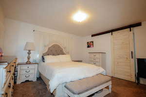 Carpeted bedroom featuring a barn door