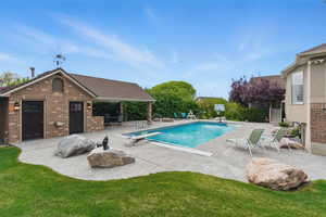 Swimming pool featuring a patio area and a diving board