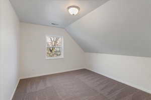 Additional living space featuring baseboards, carpet flooring, visible vents, and vaulted ceiling