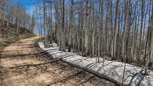 View of wooded area