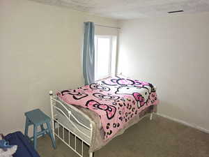 Bedroom featuring a textured ceiling and carpet floors
