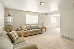 Large basement family room with basement walkout to backyard.