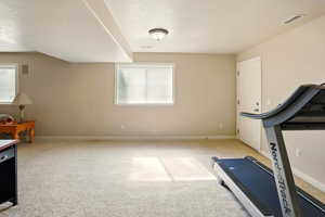 Large basement family room with basement walkout to backyard.