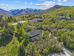 Drone / aerial view of a mountain backdrop and a heavily wooded area