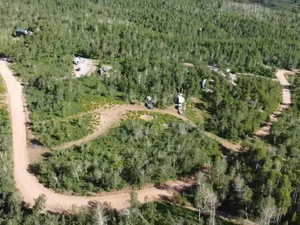 Aerial view of property's location featuring a forest