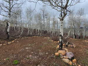View of undeveloped land