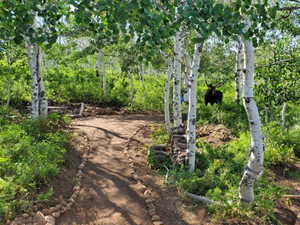 View of surrounding community