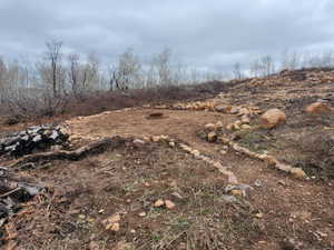 View of undeveloped land