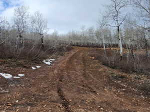 View of road