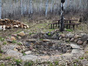 View of local wilderness