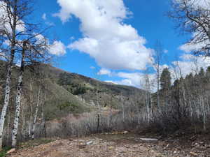View of mountain backdrop
