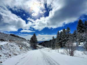 View of road