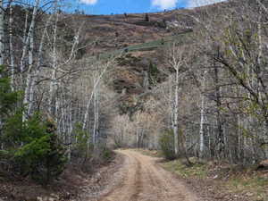 View of dirt / gravel road