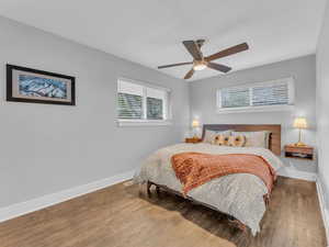 Bedroom featuring baseboards, wood finished floors, and multiple windows