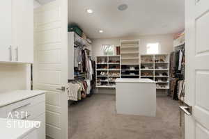 Spacious closet featuring light carpet