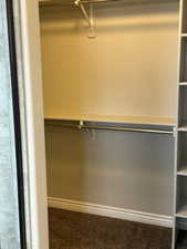 Walk in closet featuring carpet floors