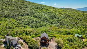 View from above of property featuring a forest and a mountain backdrop