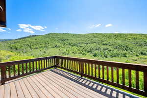 Wooden terrace with a view of trees