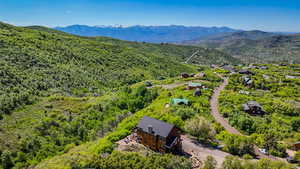 Drone / aerial view of a mountain backdrop and a forest