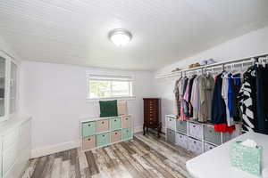 Spacious closet with wood finished floors