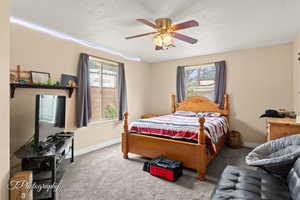 Bedroom with multiple windows, carpet floors, and baseboards