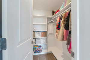 Walk in closet with carpet