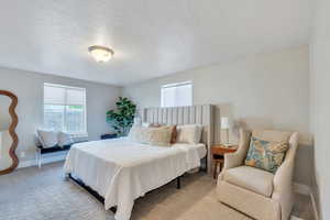 Carpeted bedroom with baseboards and a textured ceiling