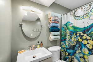 Bathroom featuring toilet, vanity, and a bath with shower curtain