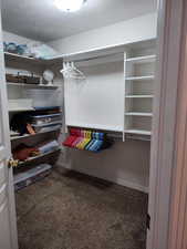 Walk in closet featuring carpet flooring